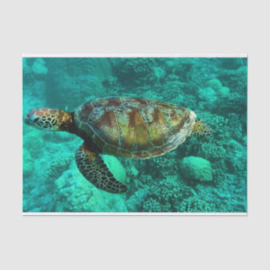 Papel De Seda Tartaruga do Mar Nadador nas Águas do Oceano com C