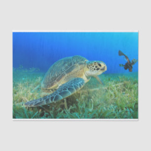 Papel De Seda Tartaruga Marítima Sob Água, Oceano Azul