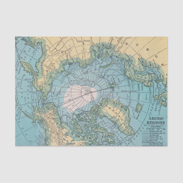 Papel De Seda Tecido ártico (Frente )