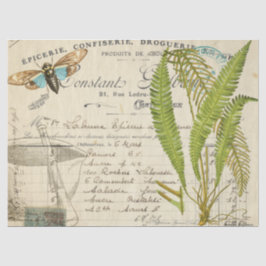 Papel De Seda Tecido azul de Decoupage do Apothecary da traça