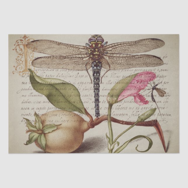 Papel De Seda Tecido Calliográfico (Dragonfly, Cravo & Pear)  (Frente )