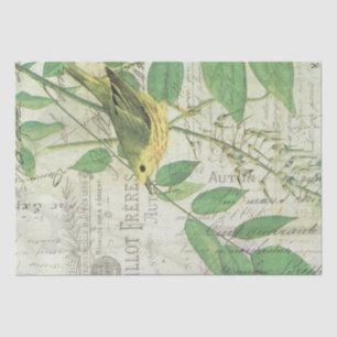 Papel De Seda Tecido de Colagem de Aves Vintage