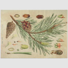 Papel De Seda Tecido de dissociação do pinho de Natal