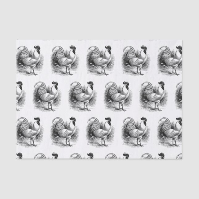 Papel De Seda Tecido de galinha com galinha com tupla de campo (Frente )