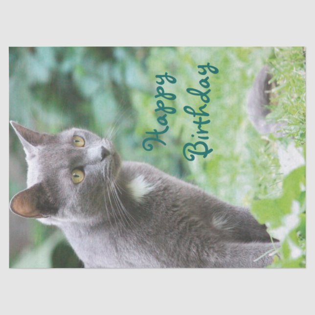 Papel De Seda Tecido Gato (Frente )