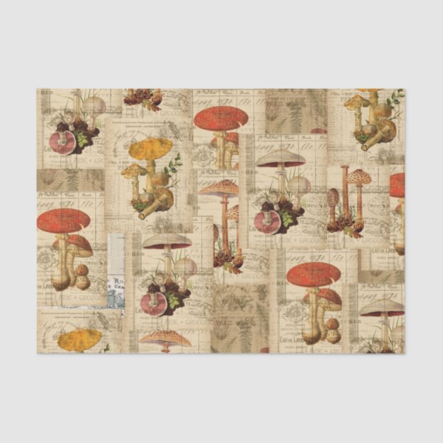 Papel De Seda Tecla Vintage Mushroom para Desligar (Frente )