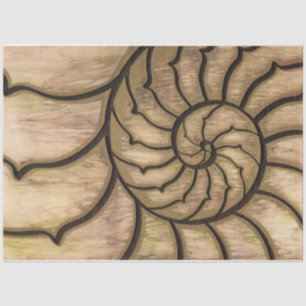 Papel De Seda Terra Nautilus