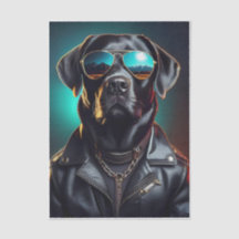Terrence Legal, Black Lab com Casaco de Couro Lenç