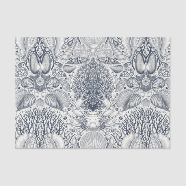 Papel De Seda Tesouros de praia, conchas marinhas, caranguejo, c (Frente )