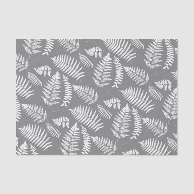 Papel De Seda Teste padrão, cinzas/cinza e branco da samambaia (Frente )