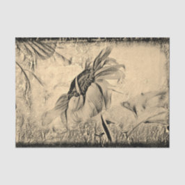 Papel De Seda Textura Antiquada Da Arte De Girassol