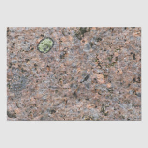 Papel De Seda Textura da geologia da foto da rocha com musgo