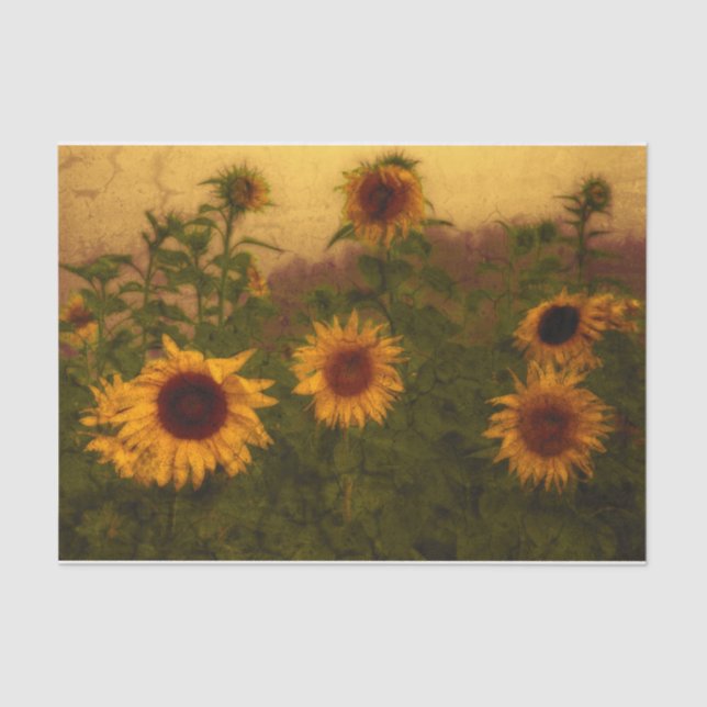 Papel De Seda Textura de campo de girassol verde amarelo (Frente )