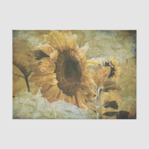 Papel De Seda Textura oral floral do campo de girassol amarelo