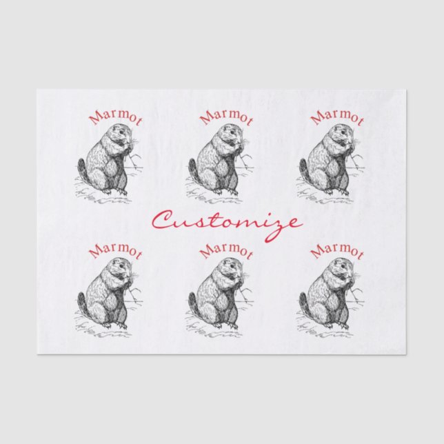Papel De Seda Thunder_Cove de Animais Marmotes (Frente )