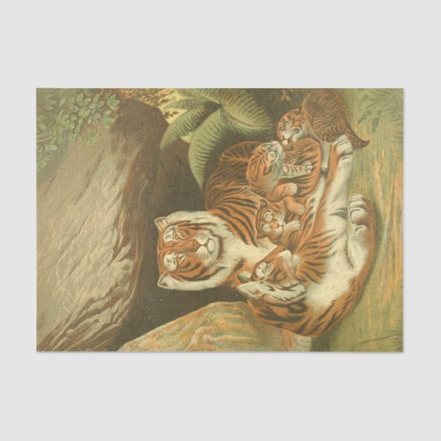 Papel De Seda Tigres de safra desligam amantes do artesanato (Frente )