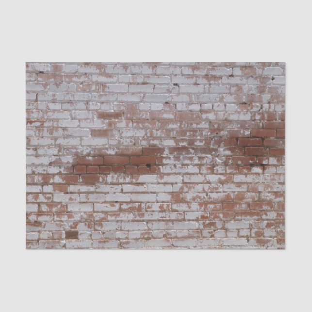 Papel De Seda Tijolos pintados (Frente )