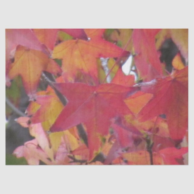 Papel De Seda Tissue Paper - Autumn Leaves (Frente )