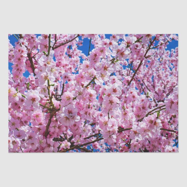 Papel De Seda Tissue Paper Cherry Blossoms (Frente )