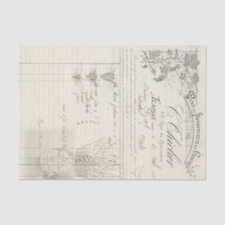 Papel De Seda Toda a raiz dela