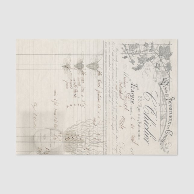 Papel De Seda Toda a raiz dela (Frente )