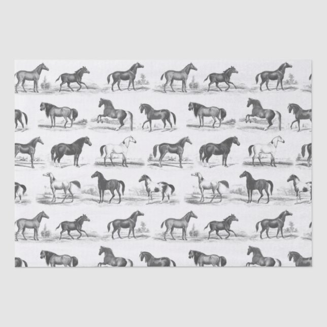 Papel De Seda Torre Elegante De Raça Rústica De Cavalos Da Vinta (Frente )