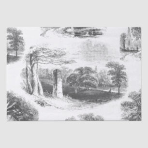 Papel De Seda Torre Elegante Vintage Black White Forest