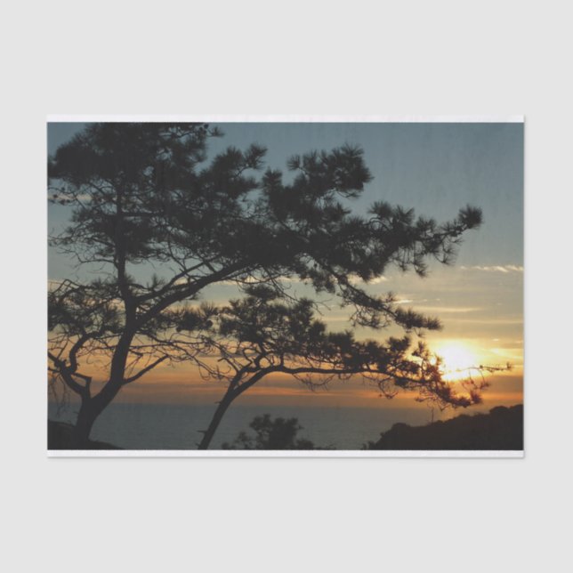 Papel De Seda Torrey Pine Sunset I California Landscape (Frente )