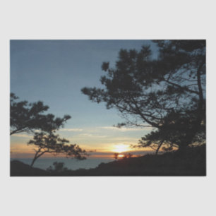 Papel De Seda Torrey Pine Sunset III Paisagem da Califórnia