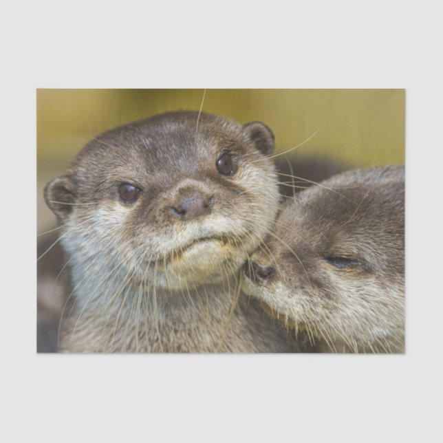 Papel De Seda Totalmente Apaixonado (Frente )