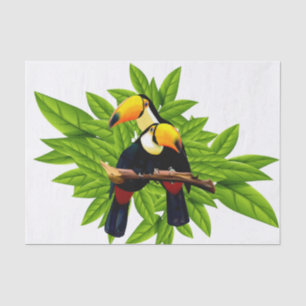 Papel De Seda Toucan Duo