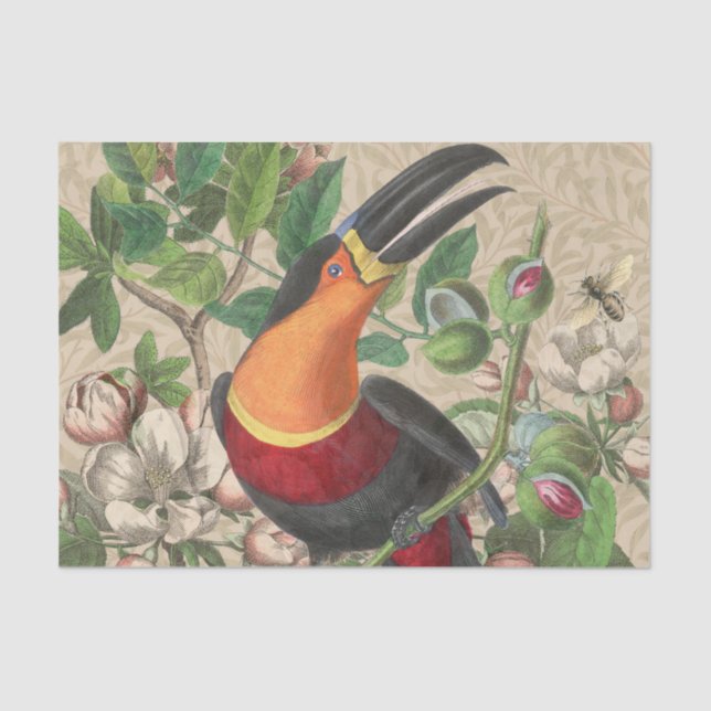 Papel De Seda Toucan Jungle Tropical Bird Beauful Antiguidade (Frente )