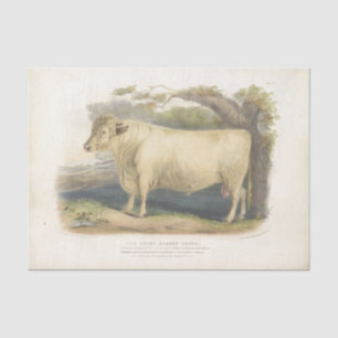 Papel De Seda Touro Branco Vaca Ephemera Decoupage Fazenda T