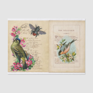 Papel De Seda Touro Finch Ephemera Book Pages com Abelhas e Aves