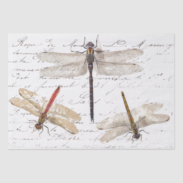 Papel De Seda Três Dragonfly Script Decoupage em Francês (Frente )
