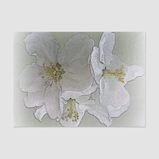 Papel De Seda três flores brancas (Frente )