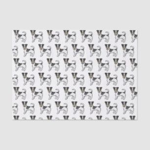 Papel De Seda Tricolor Rough Casaco Jack Russell Terrier Dogs