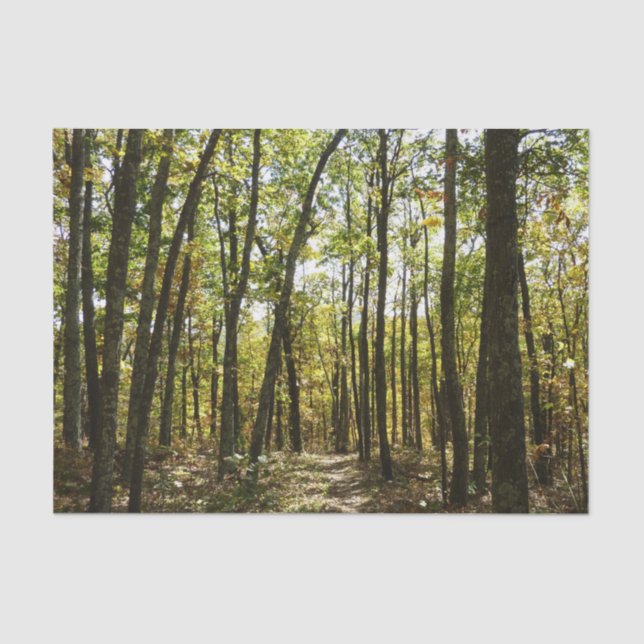 Papel De Seda Trilha Appalachian em outubro em Shenandoah (Frente )