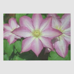 Papel De Seda Trio de Clematis