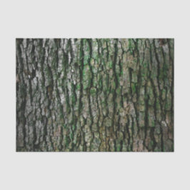 Papel De Seda Tronco de árvores (Latido de madeira)