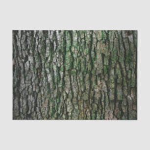 Papel De Seda Tronco de árvores (Latido de madeira)
