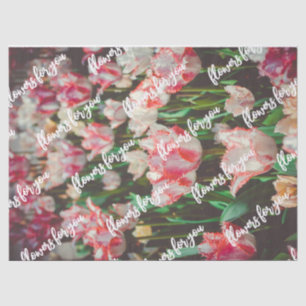 Papel De Seda Ttulipas cor-de-rosa com estilo de vindima