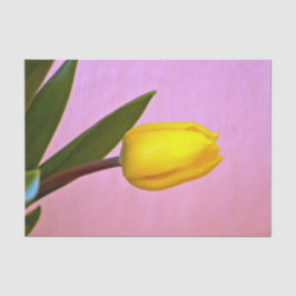 Papel De Seda Tulipa Amarela, Folhas Verdes, sobre Rosa