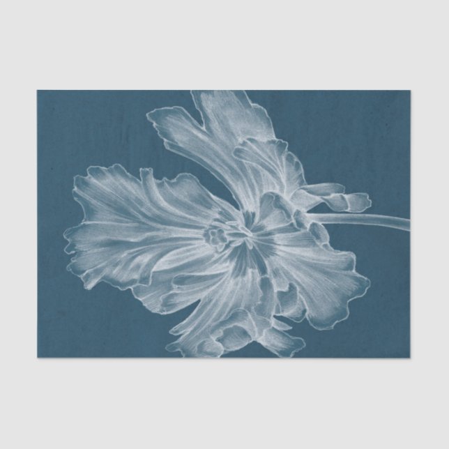 Papel De Seda Tulipa II monocromática (Frente )