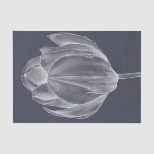 Papel De Seda Tulipa monocromática I (Frente )