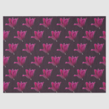 Tulipa Rosa Escura