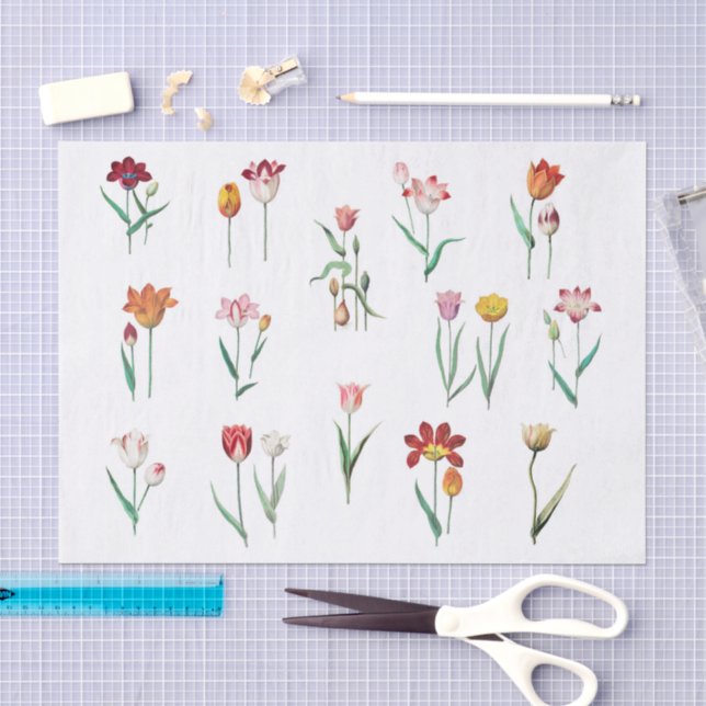 Papel de Seda Tulipas (Arte )