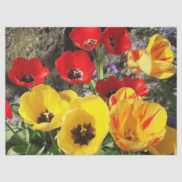 Papel De Seda Tulipas Amarelas e Vermelhas