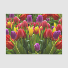 Papel De Seda Tulipas Bris