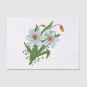 Papel De Seda Tulipas e Flores de Narcisos